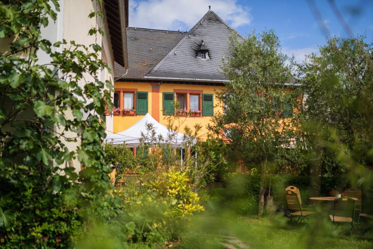 Гостьовий будинок Bio-Weingut Staffelter Hof Креф Екстер'єр фото